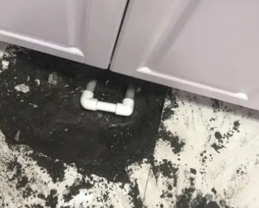 秦安查漏水哪家好